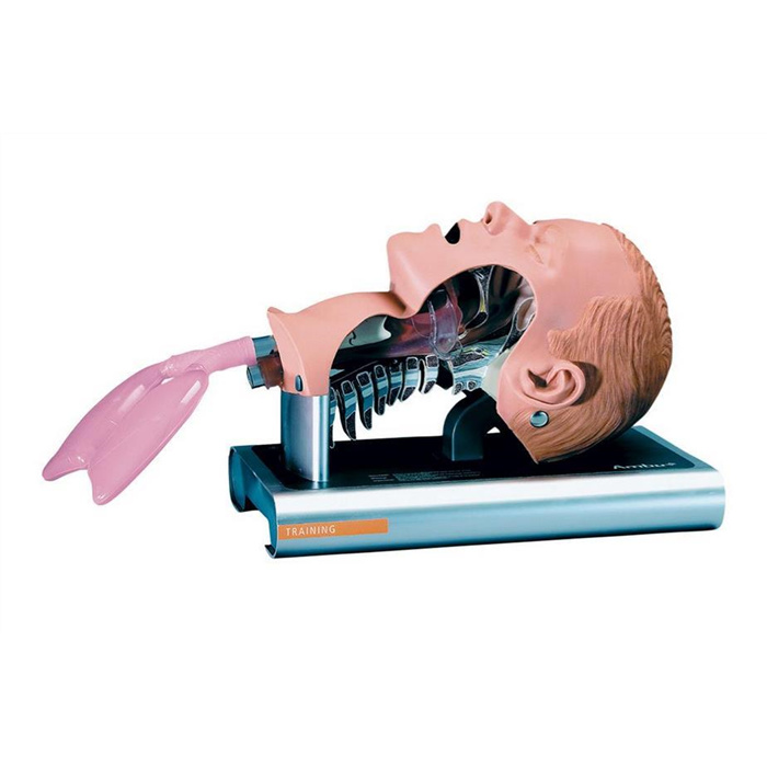 Airway Management Trainer Airway Management Trainer