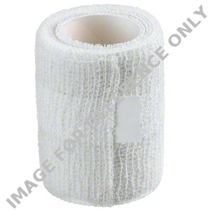 ASKINA KOHAESIVE FIXIERBINDE, 6 CM X 20 M ASKINA KOHAESIVE FIXIERBINDE, 6 CM X 20 M