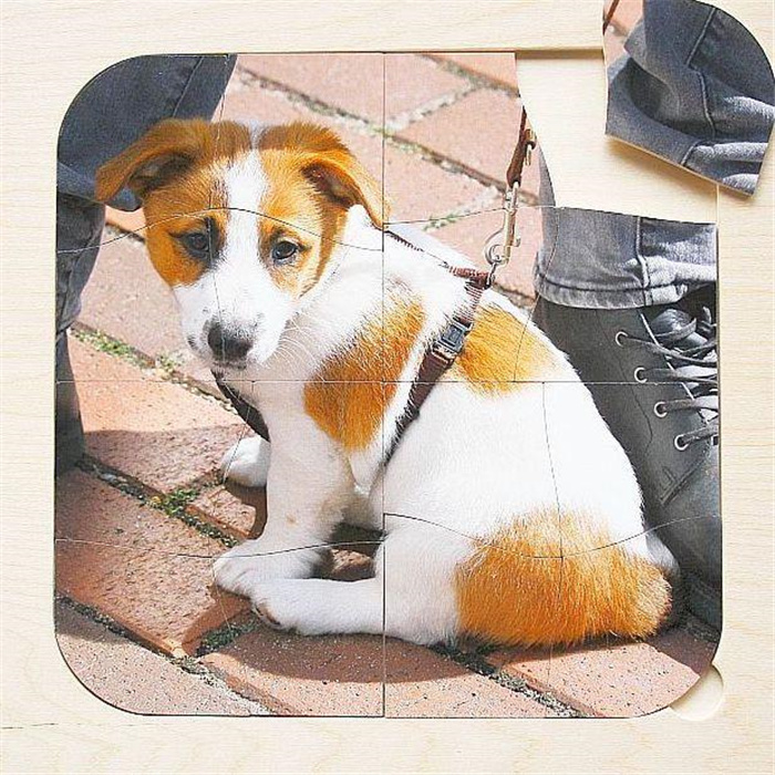 Holzpuzzle zum Einsetzen - Welpe - 16 Teile Holzpuzzle zum Einsetzen - Welpe - 16 Teile