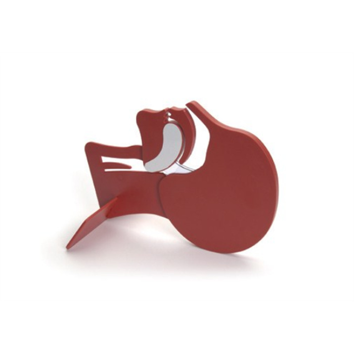 Kopfschnittmodell Kopfschnittmodell