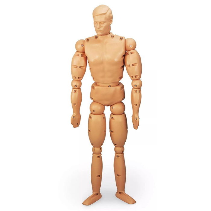 Mannequin d'entraînement Randy 9000 Mannequin d'entraînement Randy 9000