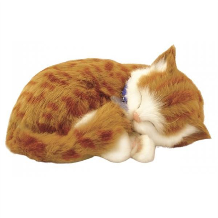 Perfect Petzzz - Chaton orange Perfect Petzzz - Chaton orange