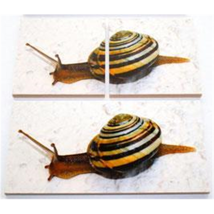 Puzzlebox aus Holz - Tiere - 2 Teile Puzzlebox aus Holz - Tiere - 2 Teile