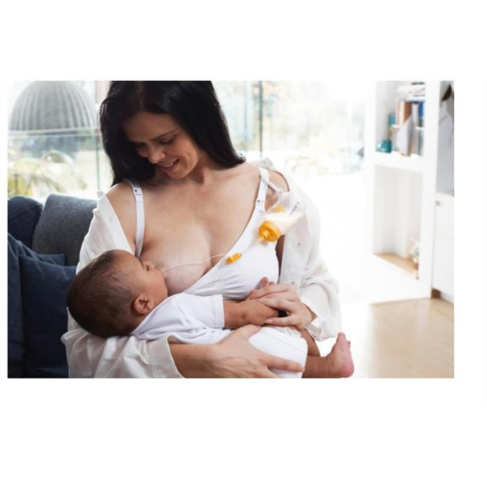 Supplemental Nursing System (SNS) Supplemental Nursing System (SNS)