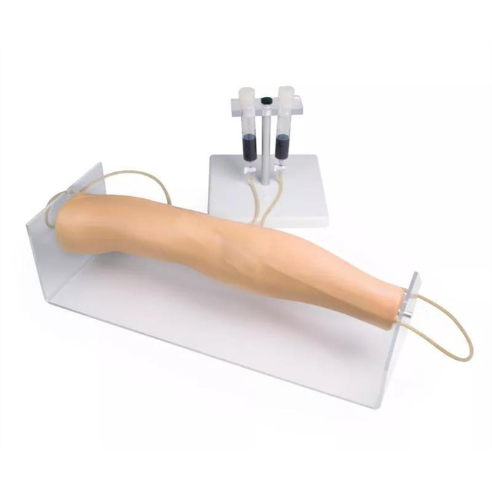Training arm for intravenous injection Training arm for intravenous injection